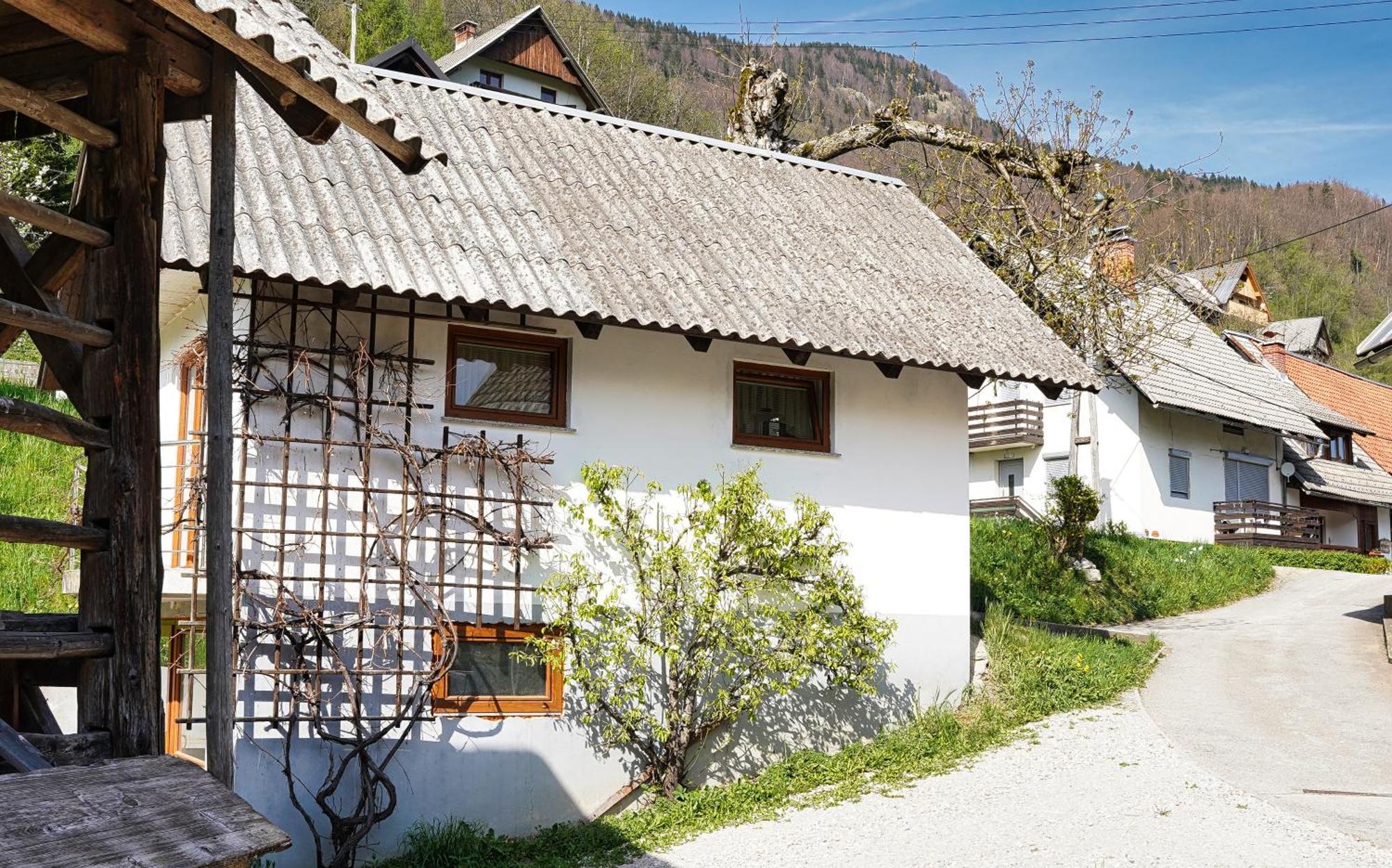 Apartments Pr' Pavleto Bohinj Extérieur photo